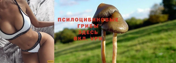 кокаин премиум Верея