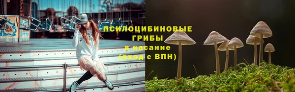 PSILOCYBIN Верхнеуральск
