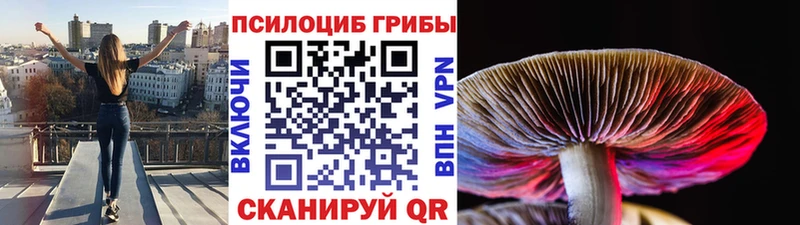 Купить  Назарово  Псилоцибиновые грибы GOLDEN TEACHER 